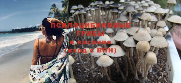 мяу мяу мука Козловка
